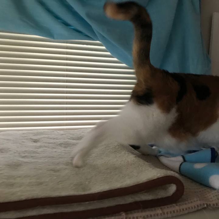 8447b6dd c26c 4224 b0e5 5475eb37a079 1549473419844