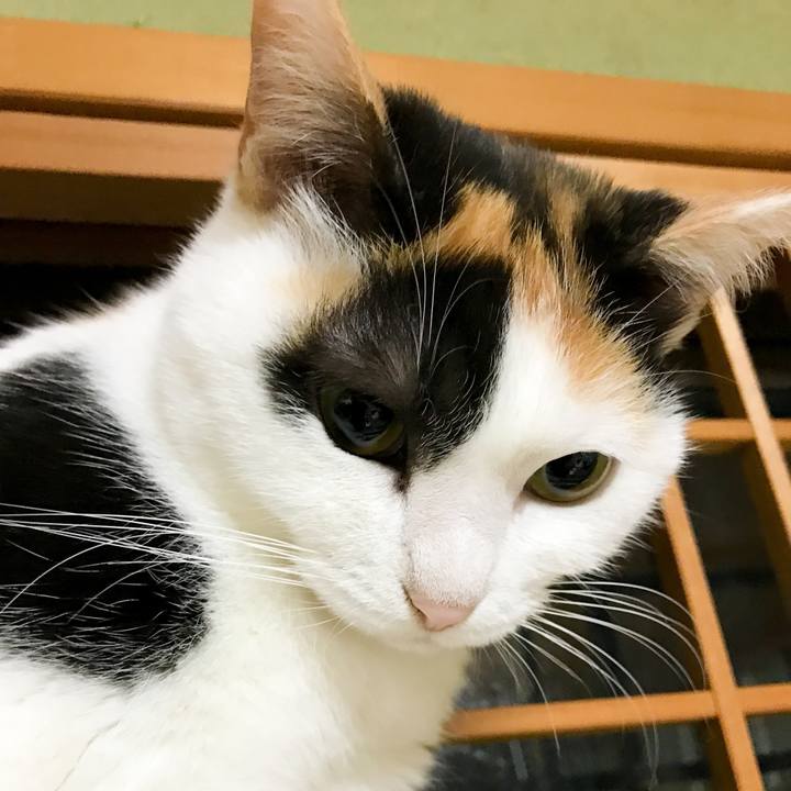 8447d0be 8121 4478 a3d0 649e25134b7c 1516111505085