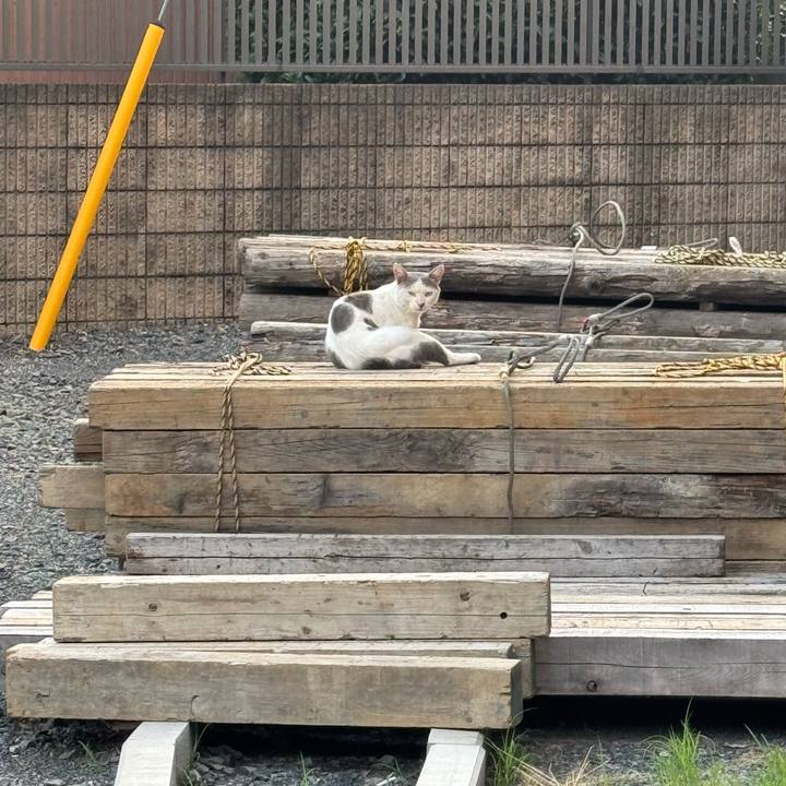 84480c01 d6e8 4bf1 987c 6d683e77bfec 1756763522703