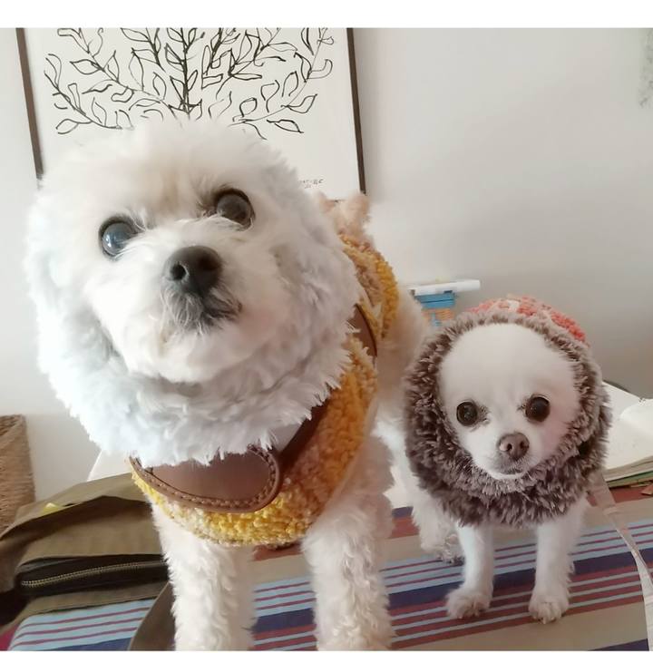 8448156f 018e 4e33 a127 3b3920a20f83 1674445977353