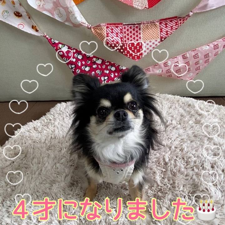 8448237a 9f0d 402b a063 80f2a7343179 1654636645499