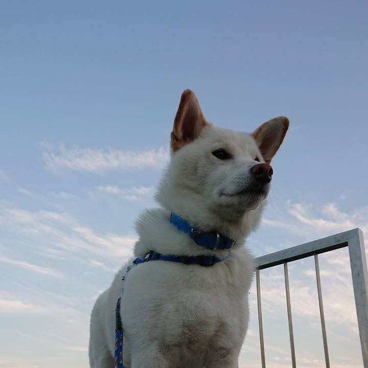 84482e07 3a55 4f84 8add e041b8a524eb 1602923791957