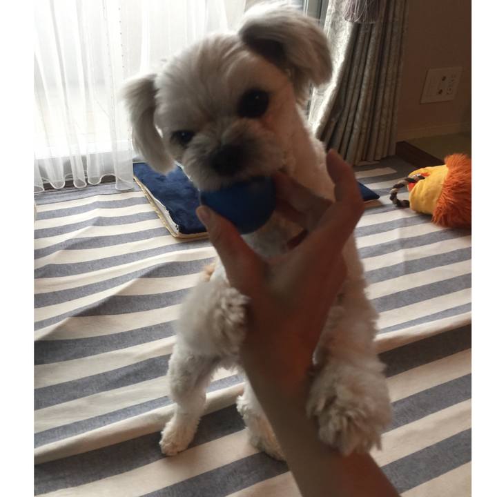 844833e6 564c 4586 9cd6 3dde69d86cc9 1521598282439