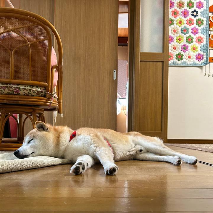 84483f92 3bf8 4cff b63a a1f83b58ed6a 1749986033755