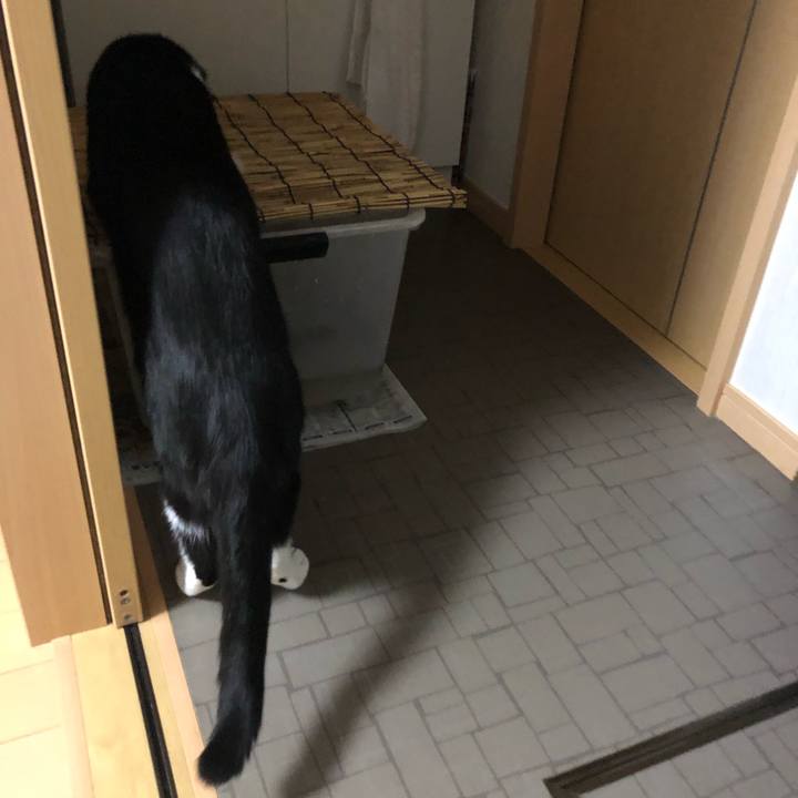 84485916 9130 4377 9a3b b268e3b41cba 1567958999538