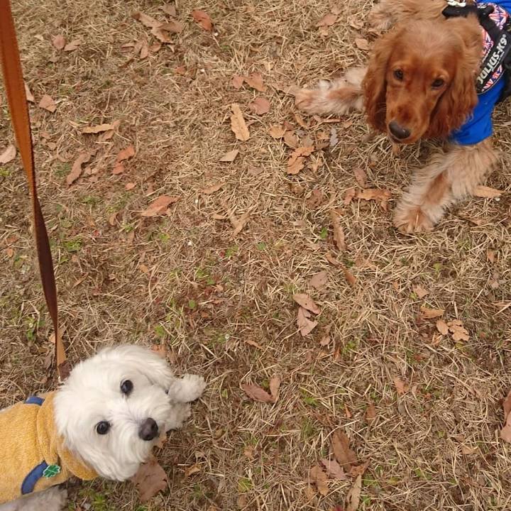 84485985 e4a5 4fdc 959e b2671bd17fdc 1519217120119