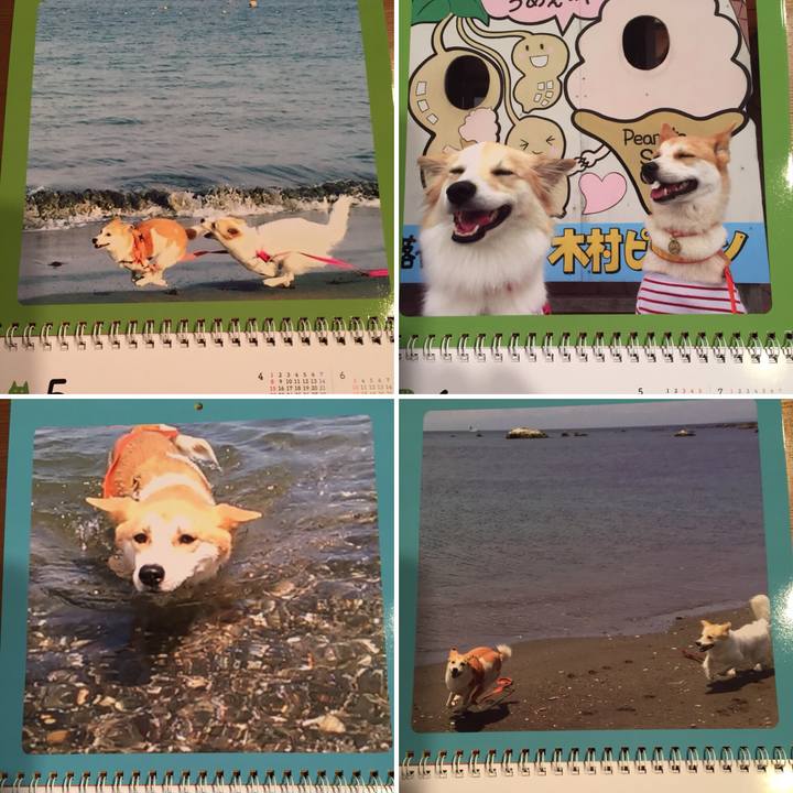 8448665c 4060 47de b690 0c0d2f7f9271 1514022134633