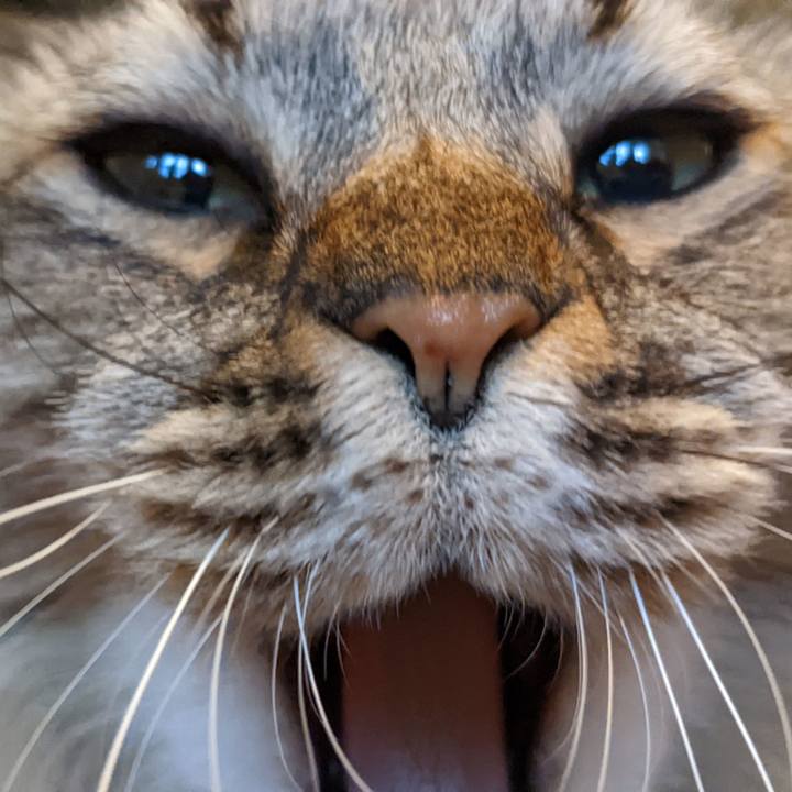 844879be 75eb 4d8f b695 80e9ef8df9d8 1647647537943