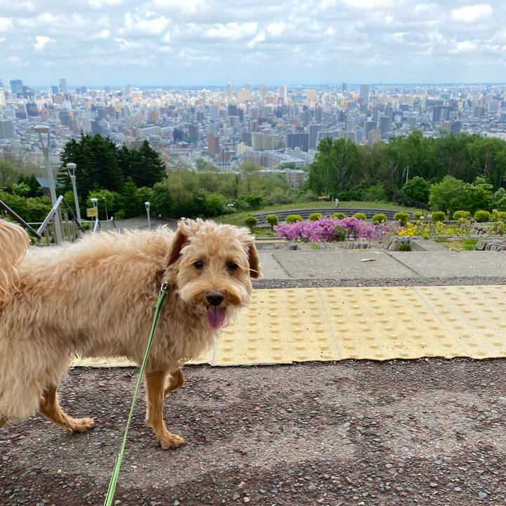 84487a27 b3e1 4022 8b79 aeb62dc84c3b 1621747768296