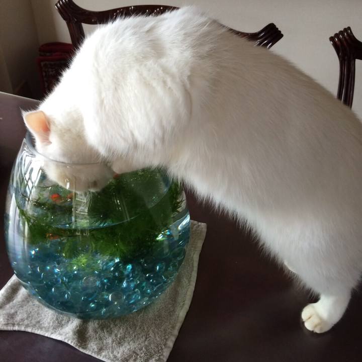 84488c36 f667 4cab aaae 759786a6993c 1515934499020