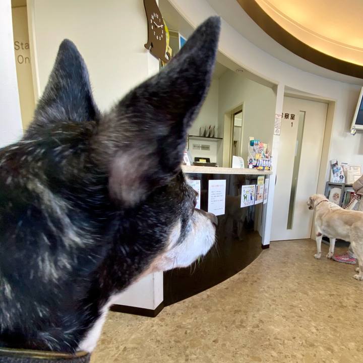 84488cc5 55e2 4f0b bffe e268c7b4e81c 1613779975448