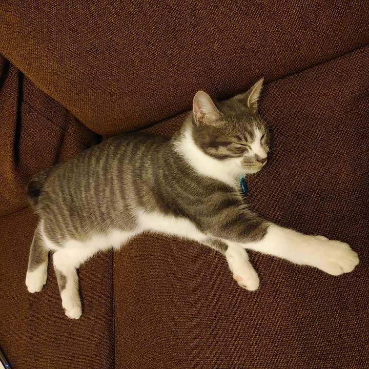 8448b6e6 c6a3 4bcb b194 73341d9c61bd 1569319802649