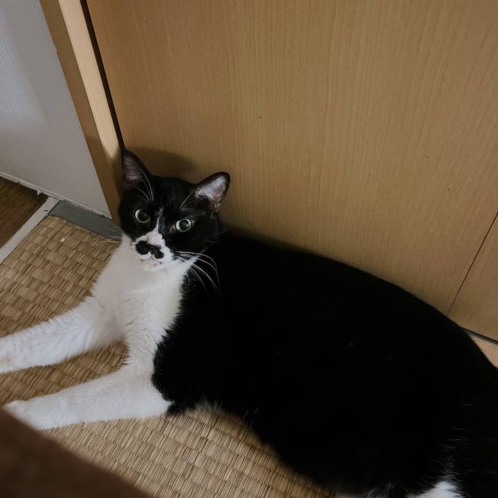 8448e709 10bd 4672 a7dc f033c737bff0 1660828655862