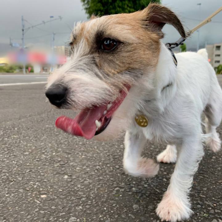 8448f9b8 0a07 4987 8dc4 752eeb8ccc08 1599391254417