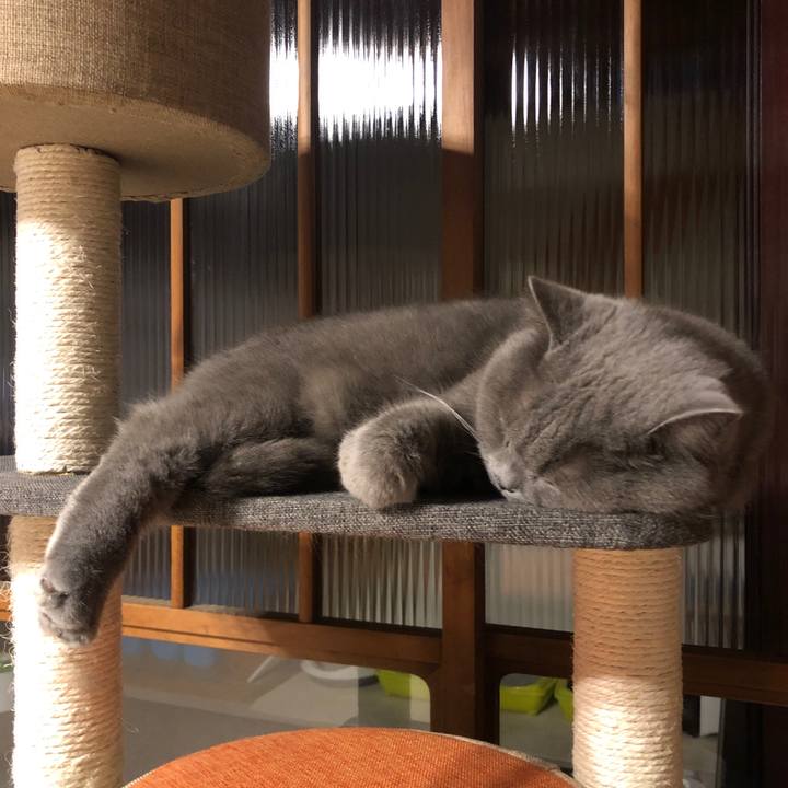 84493652 f4a3 448b 9956 0182718a2667 1584331499806