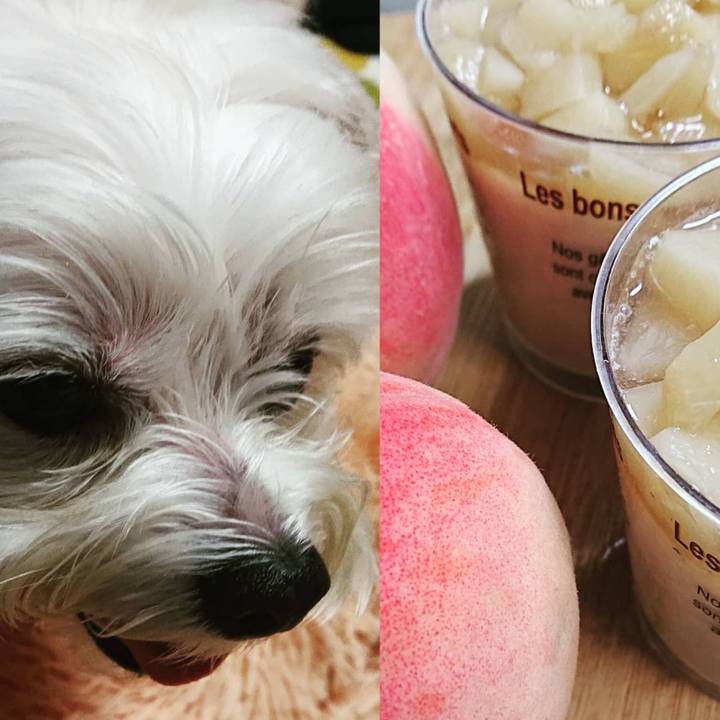 84493bf0 c455 44e3 8723 bd518bb24105 1595247261336