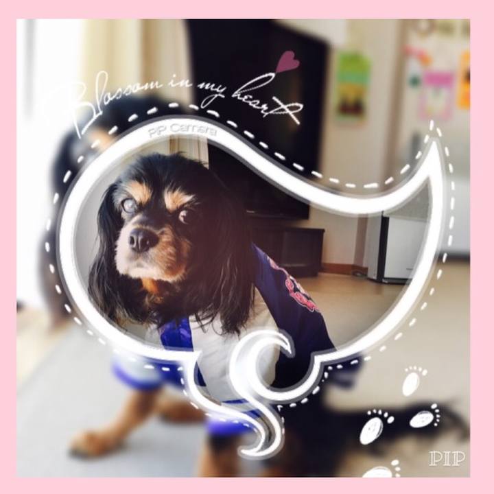 84493d11 e11f 4264 a92c 8f3aa00e2758 1509168416036