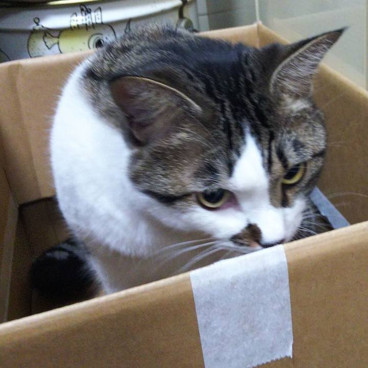 8449791f ee0f 49c0 8338 96f654bf0f89 1661520163374