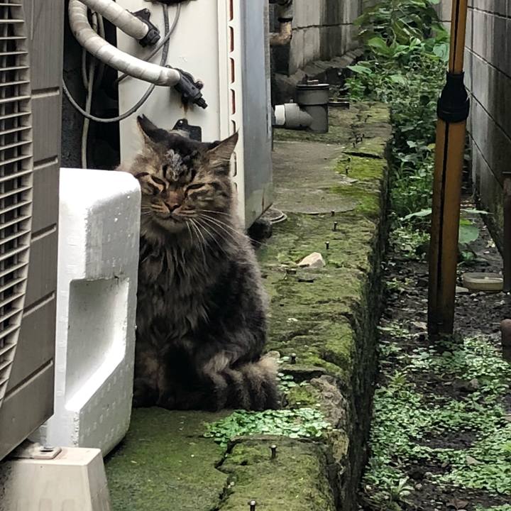 844990c6 3162 4279 867c 893d5999cc72 1538763224320