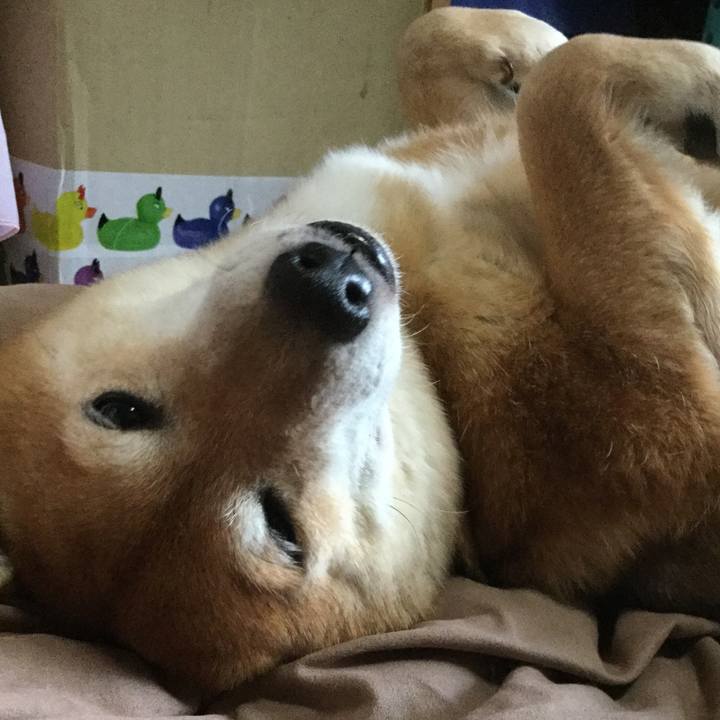 844992d2 c6e5 4f5a 80a4 7f54870db748 1574327639178