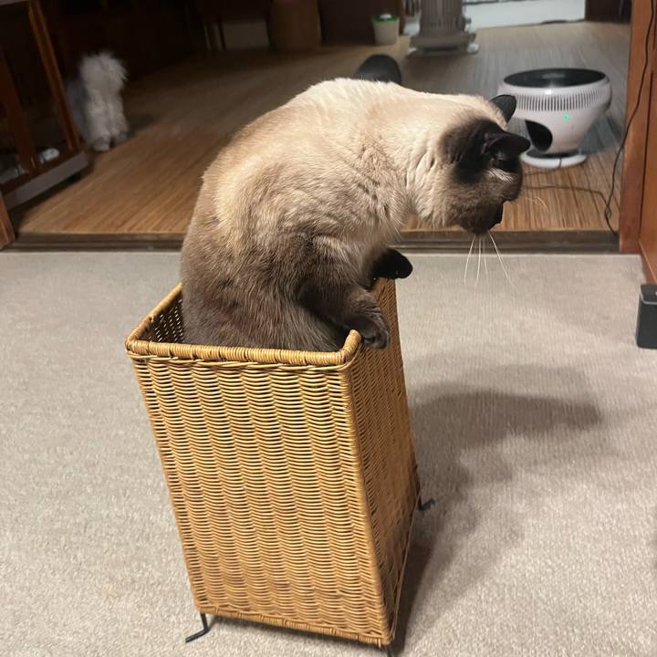 8449a544 94e6 4181 9b82 e3a816d199a0 1644026945052