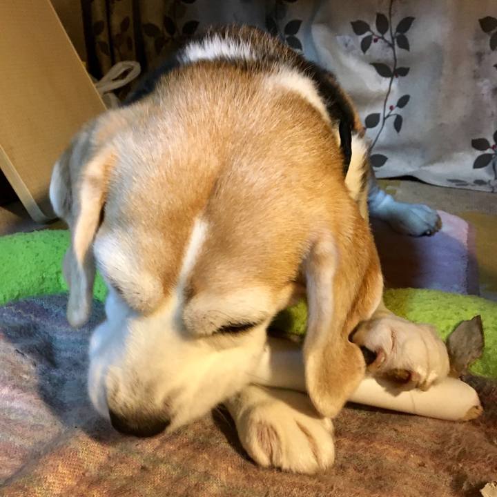 8449b331 d2af 4c1d a783 4c27496374c5 1556373413364