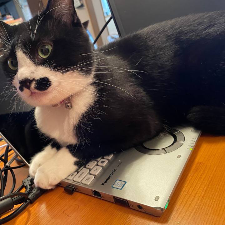 8449d9fb 4390 496b 8f2a c989ad7beccf 1669169889542