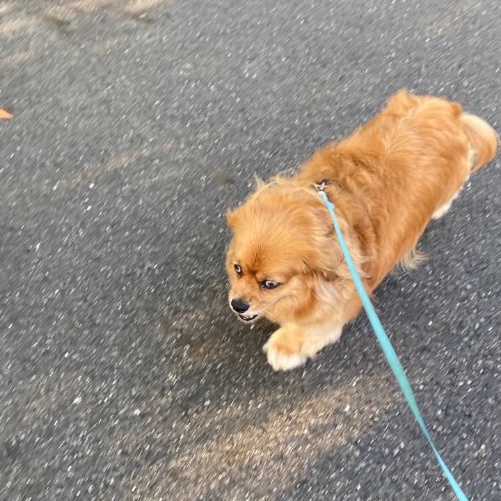 8449e6b3 d720 4062 8392 0dcf4a780cd6 1657489793917