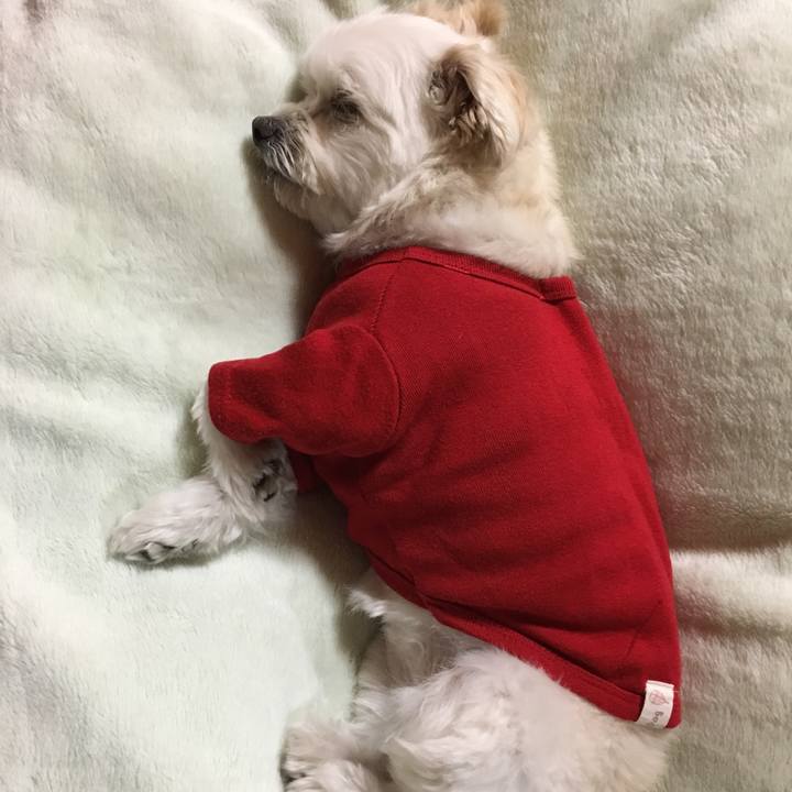 844a02d5 e2ca 498f a7e1 dd4e0e983d2e 1519123881638