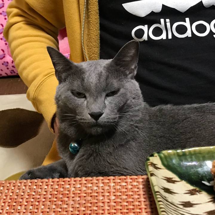 844a3aa5 edbf 4168 ae7f 087d8168a95b 1509190294002