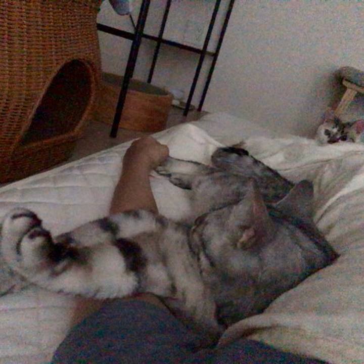 844a74a4 e1f8 4af6 91d5 c616d1f4253c 1530742129249