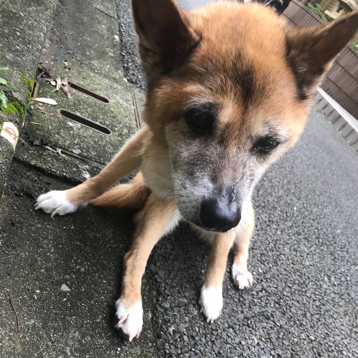 844aa979 6013 4a01 b25d 4c4c083517d7 1563923043030