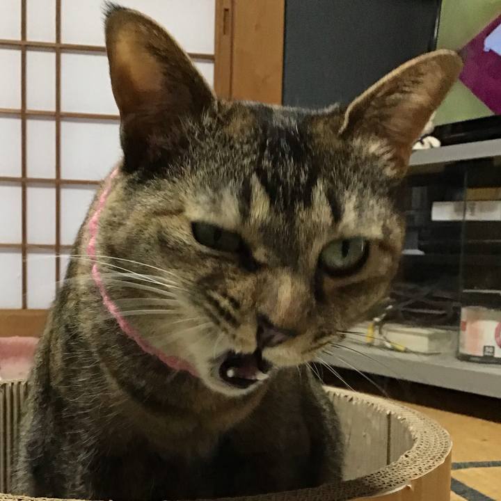 844aaa79 49ca 4b94 8210 8b00a34f5931 1744106835502