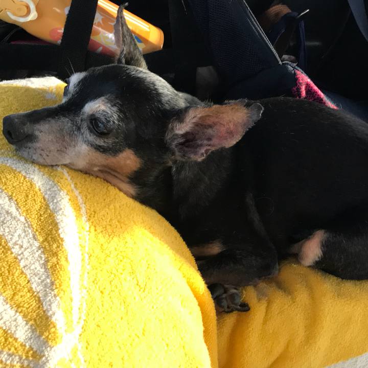 844aab83 e592 4ff7 a7d3 8e9c84d03e6b 1567259431770