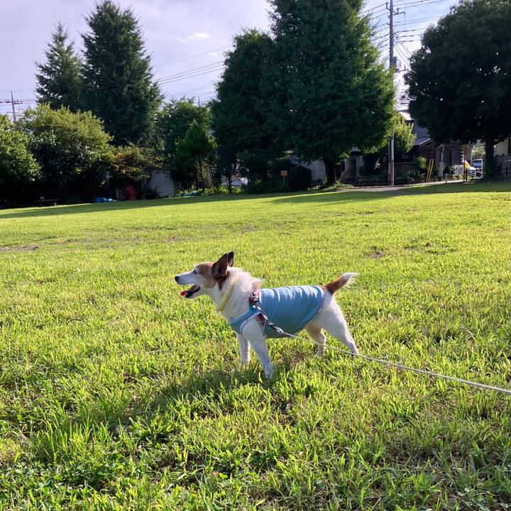 844abcdf e25f 40d7 88b2 55ed4fa1ff27 1722295246322