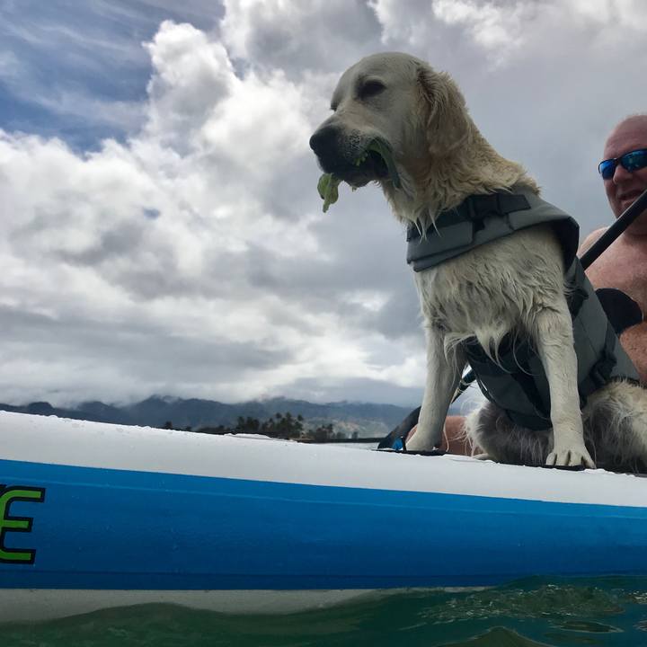 844b1c61 f07a 4e76 8881 89ceef4c0e57 1553401662961