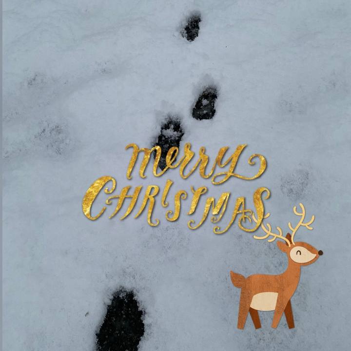 844b4751 3cab 4a25 a303 995d2638c98d 1671869112865