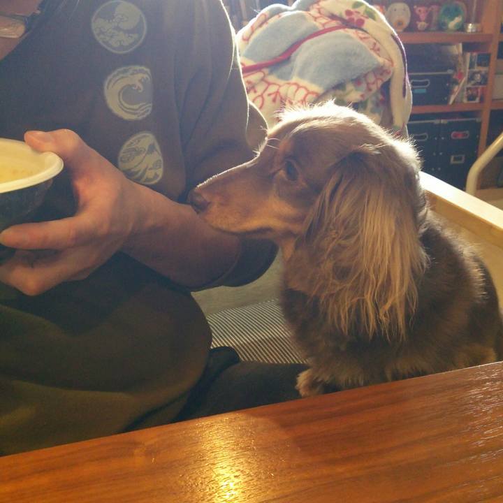 844b48e2 6b67 495d 8d41 322d9c4ff0c4 1516422432414