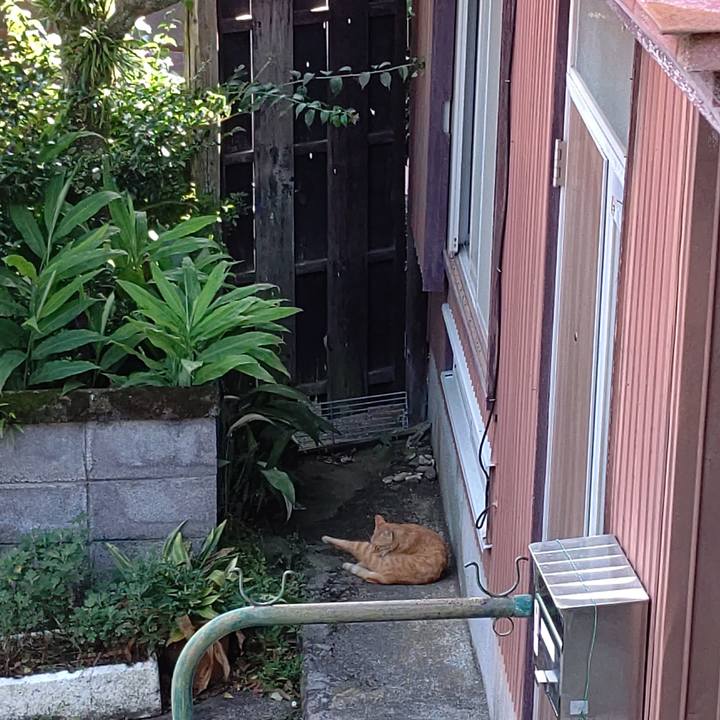 844b6e0b c091 42dd 8912 d751d4fe08d8 1656149919405