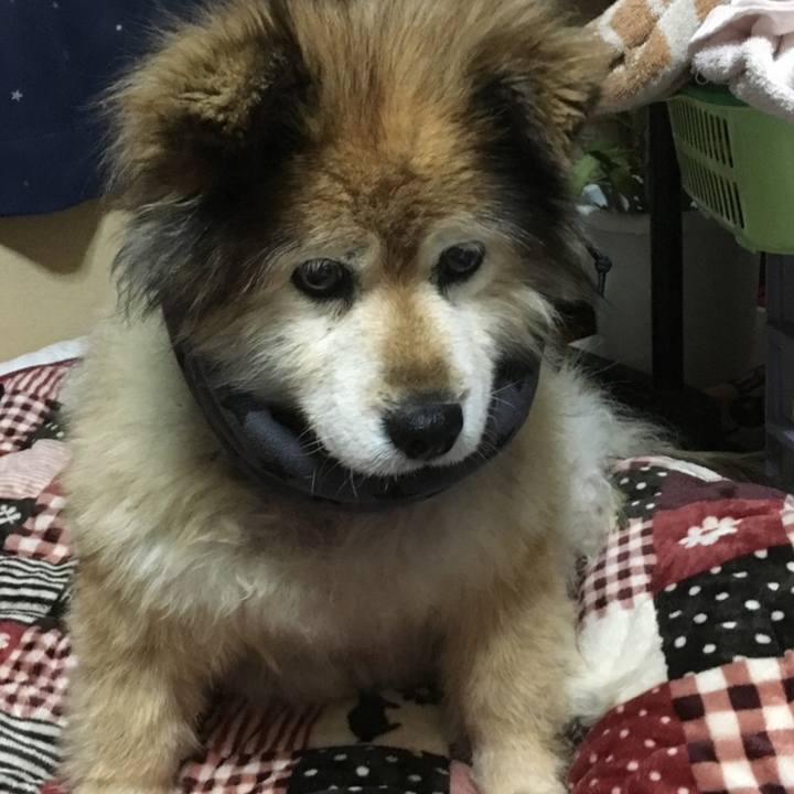 844bc97c 07e3 4340 9712 974826207c47 1602941843216