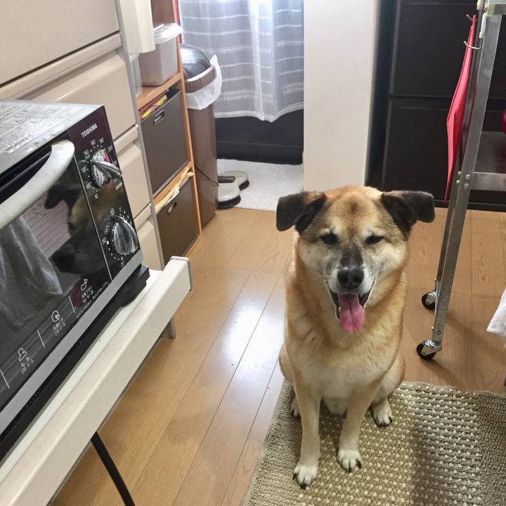 844bcb80 5595 4d28 874a 9c216ddc4887 1558264223311