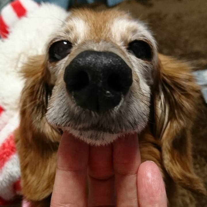 844bd1e4 2435 419a 9bb1 161100a3f314 1515120207049