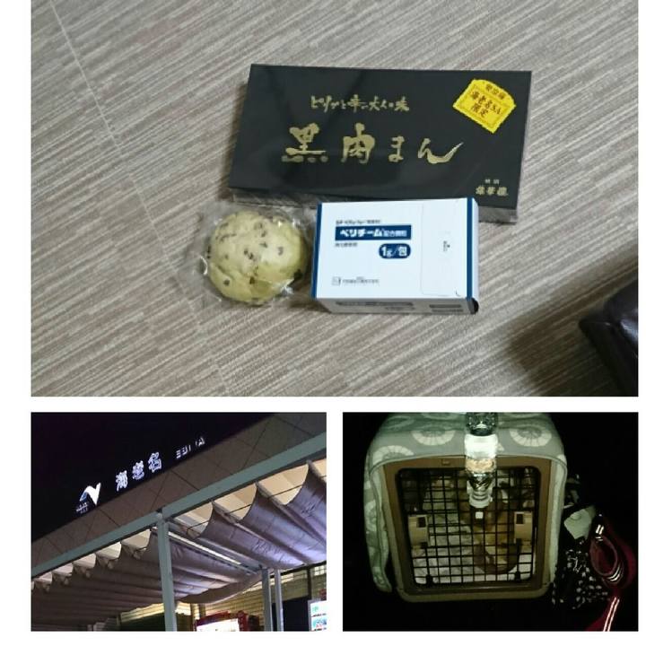 844be862 5e5e 4ae5 a9cd e27f7919bd4c 1545489545778