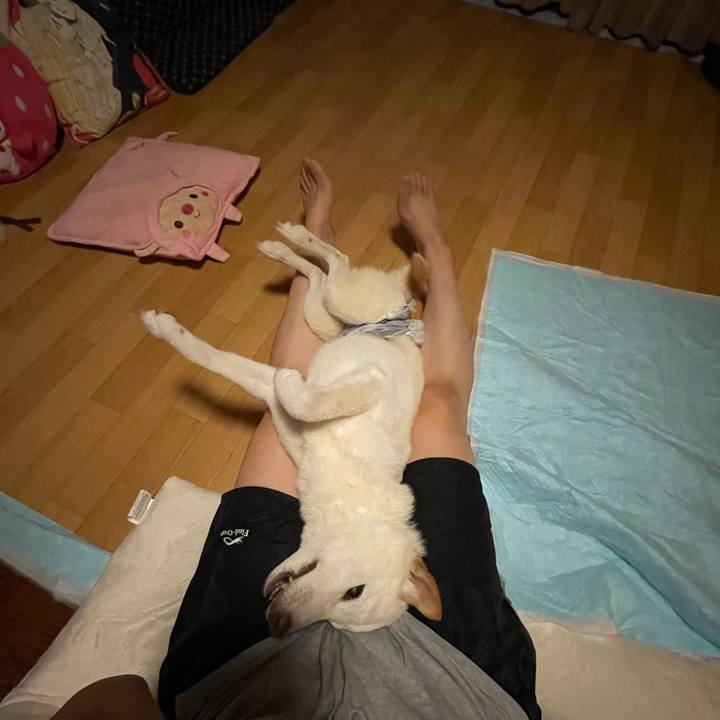 844bea2b 22bb 4660 87c1 85791f64da92 1662220896047