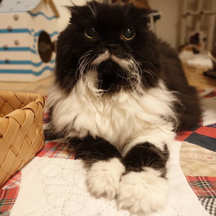 844bf07b 89bb 40af 94fd 35944805f41d 1536649534349