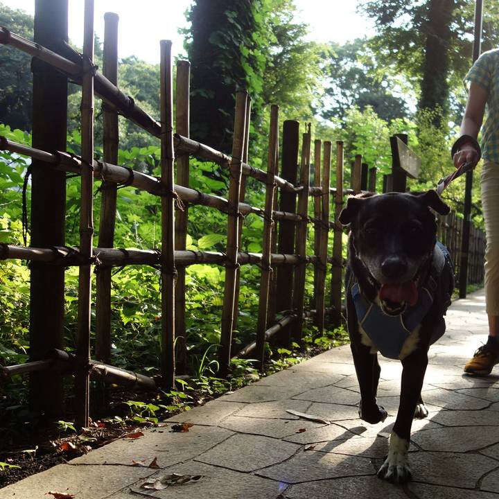 844c0a05 adc5 44e5 8606 517b6e9a3d76 1723162440186