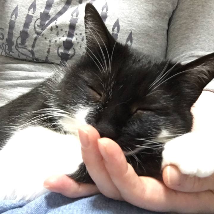 844c28ee 102e 4000 a5db fa69430ed15f 1559471748158