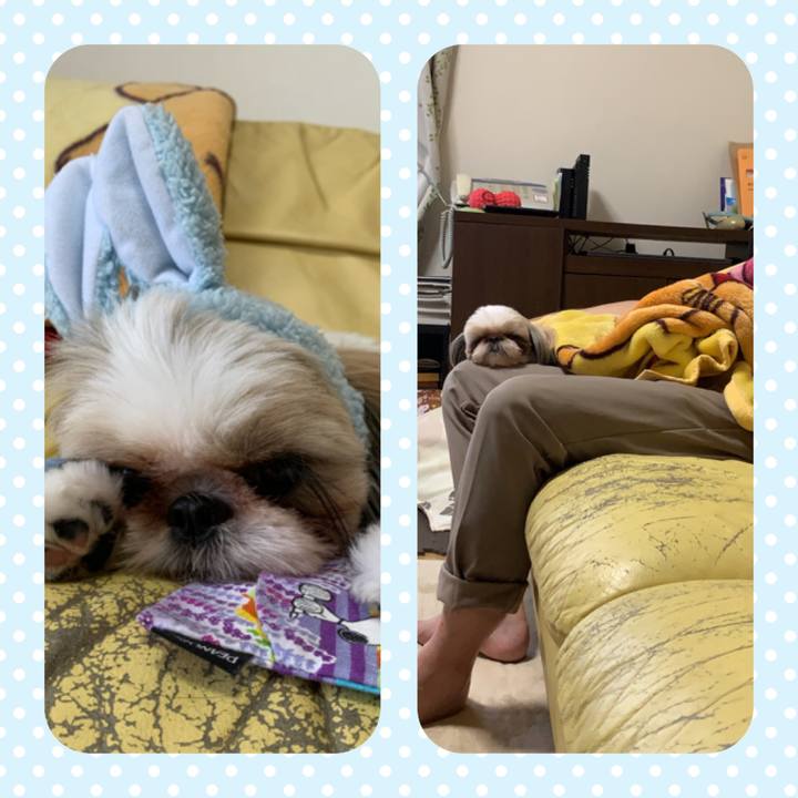 844c3000 d86a 4249 b9e6 00c2f928360f 1595736425922