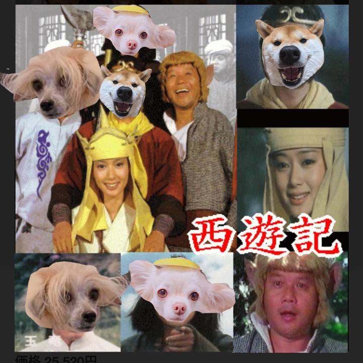 844c33dc a1b5 4dc2 80d1 200ef7731f94 1676898945134