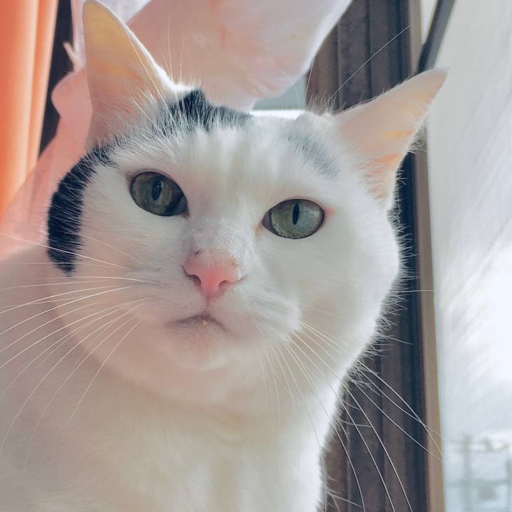 844c6402 dc7a 4b2c ae3c fb7aeec28385 1572608766386